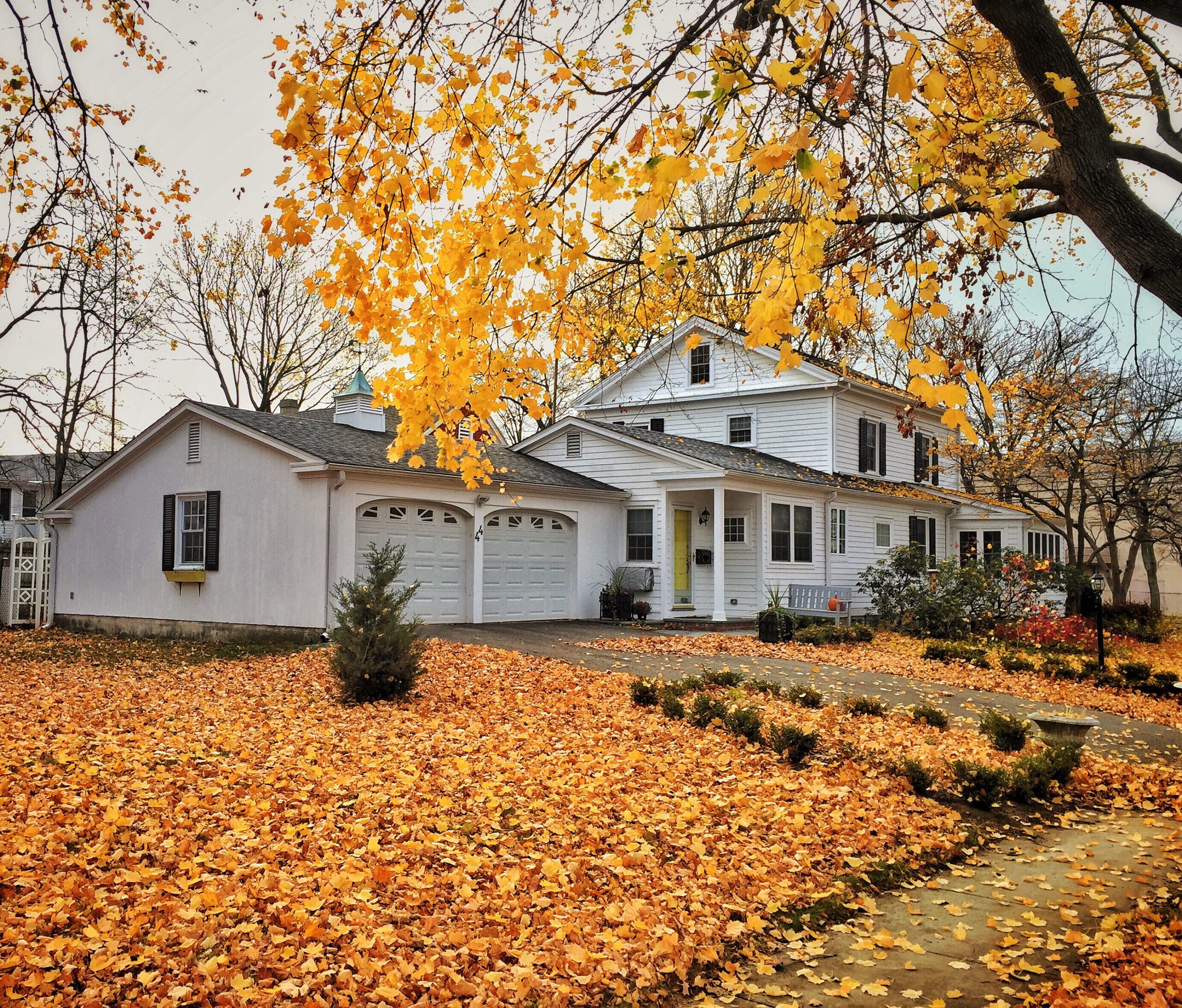 real estate autumn home nominated 2025 03 08 08 39 09 utc scaled